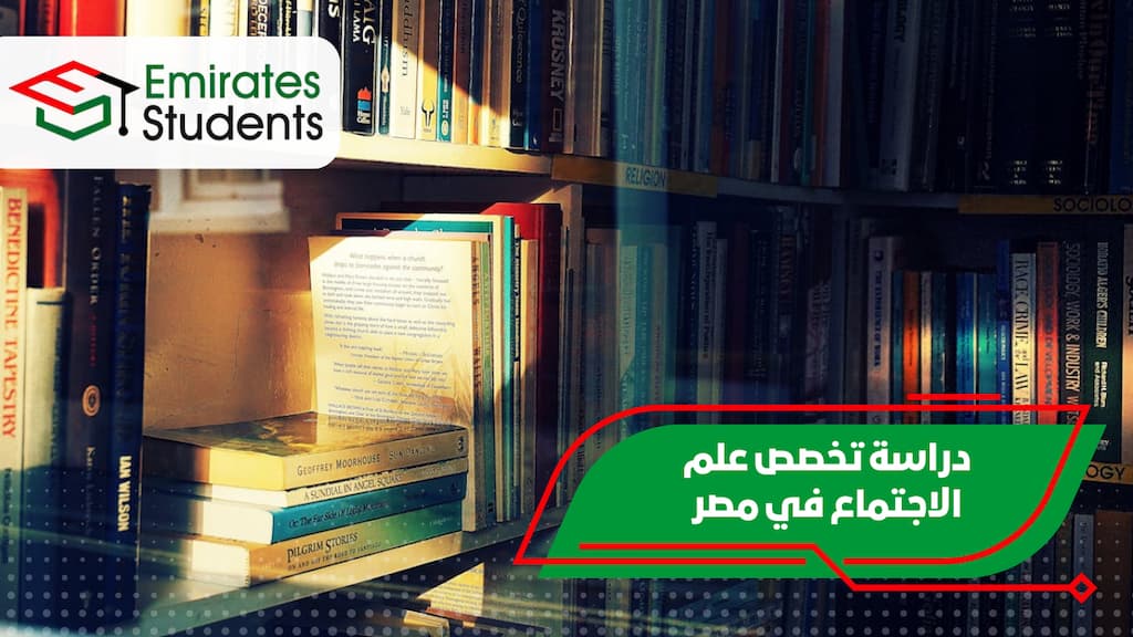 دراسة تخصص علم الاجتماع في مصر