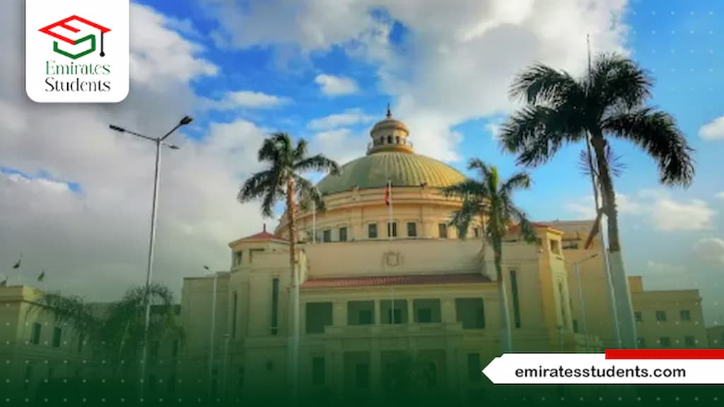 دكتوراة مهنية جامعة القاهرة 