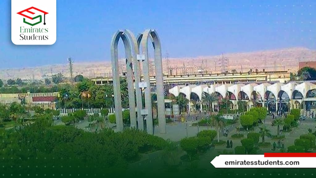 ماجستير إدارة مستشفيات جامعة حلوان
