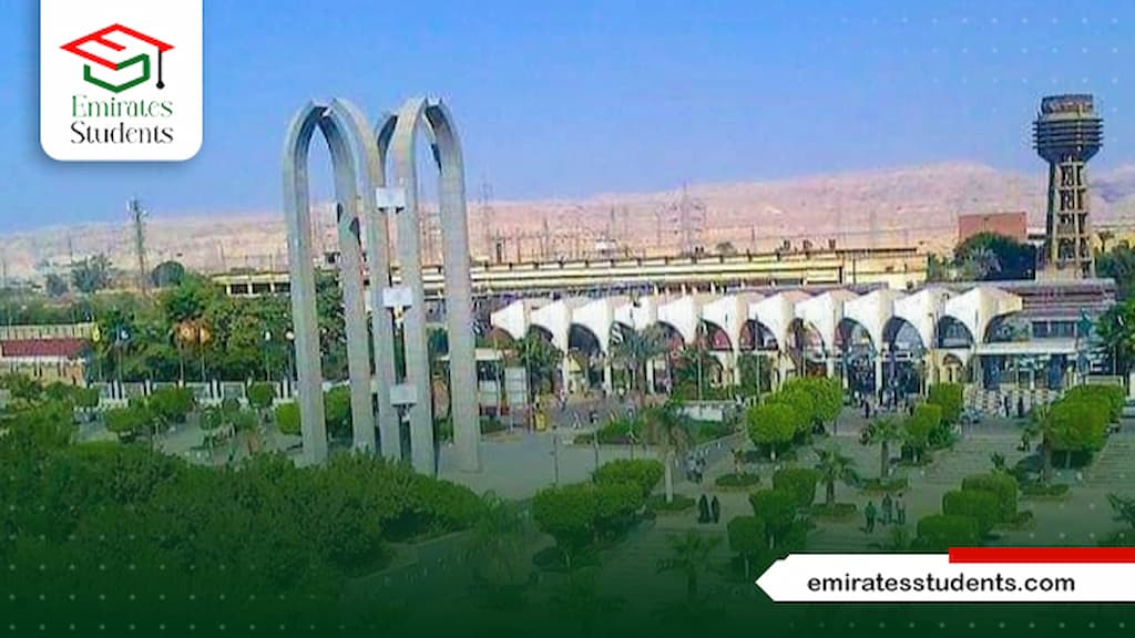 الدكتوراة المهنية بجامعة حلوان