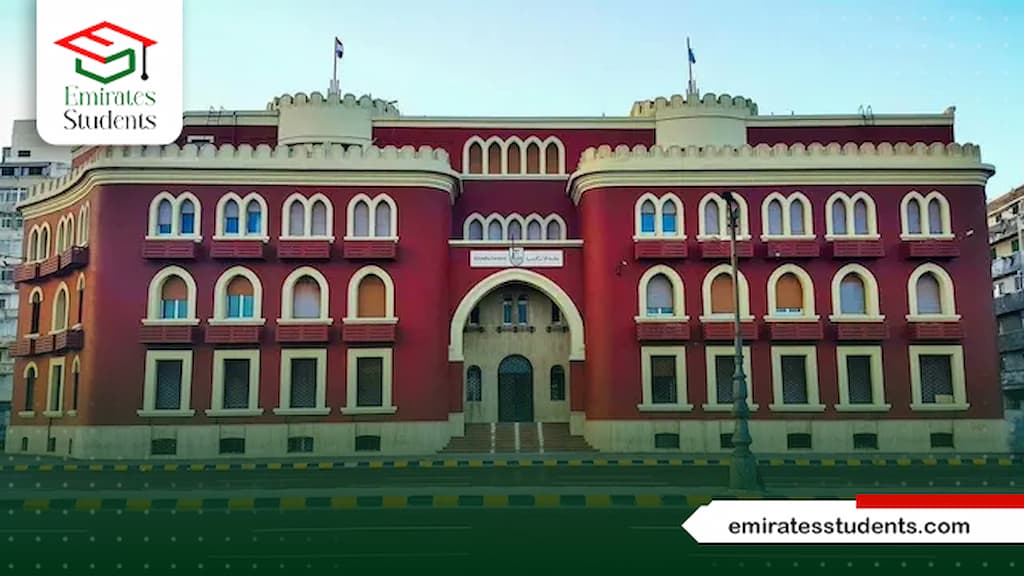 الدكتوراه المهنية جامعة الاسكندرية
