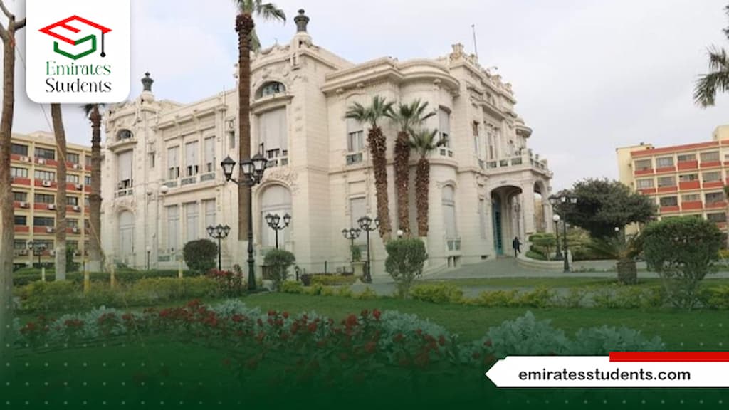 تكلفة ماجستير إدارة الأعمال جامعة عين شمس

