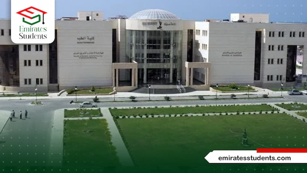 جامعة سيناء