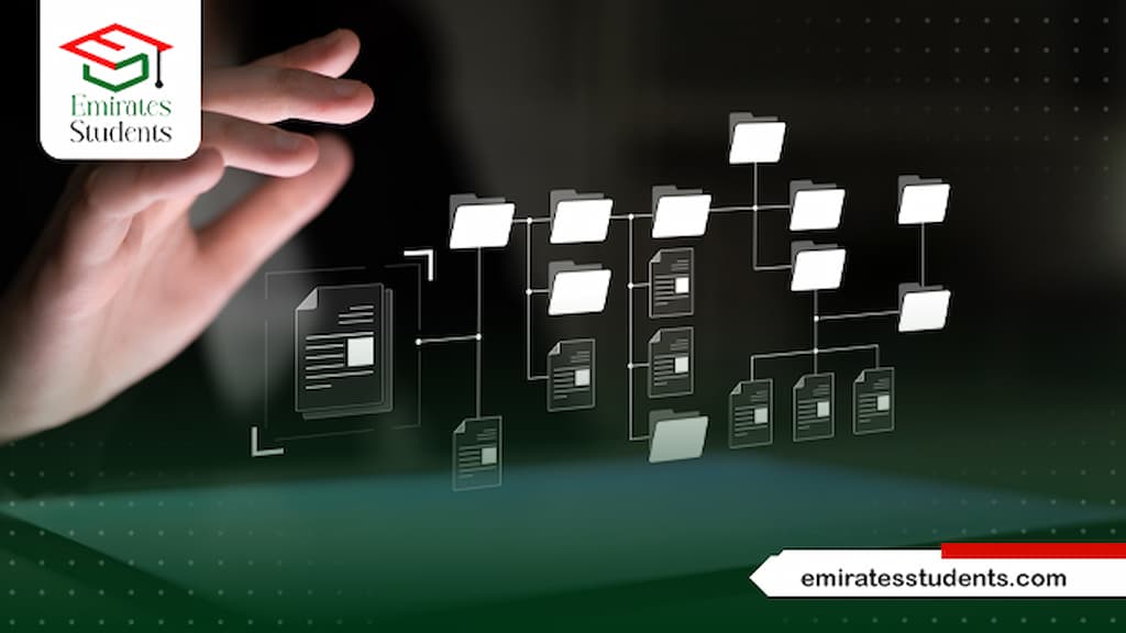 ماجستير نظم المعلومات الإدارية جامعة القاهرة
