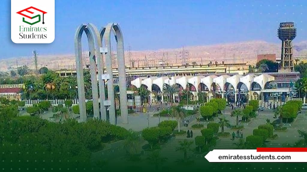 تكلفة ماجستير إدارة الأعمال جامعة حلوان

