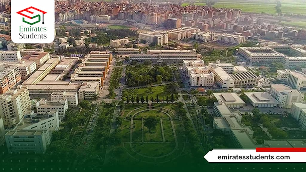 مصاريف الدراسات العليا جامعة المنصورة
