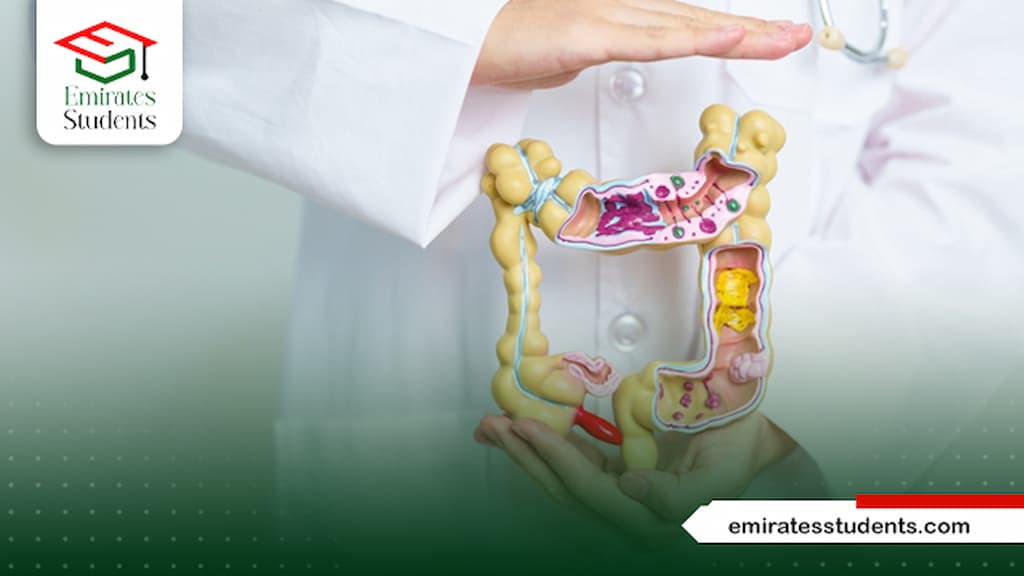 تخصصات الطب البشري بالترتيب