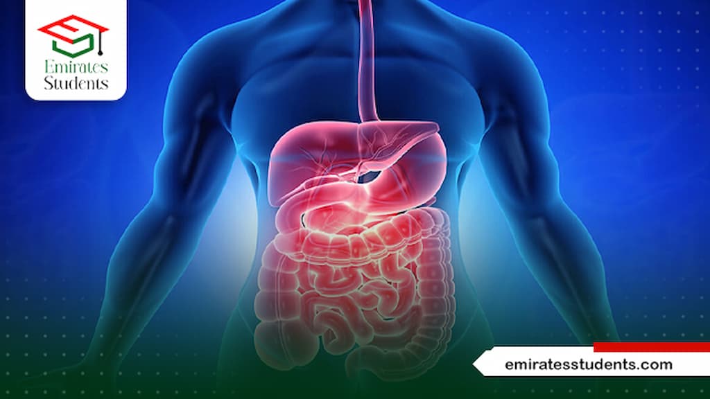 طب المناطق الحارة والجهاز الهضمي