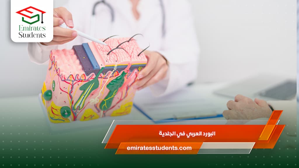 البورد العربي في الجلدية 