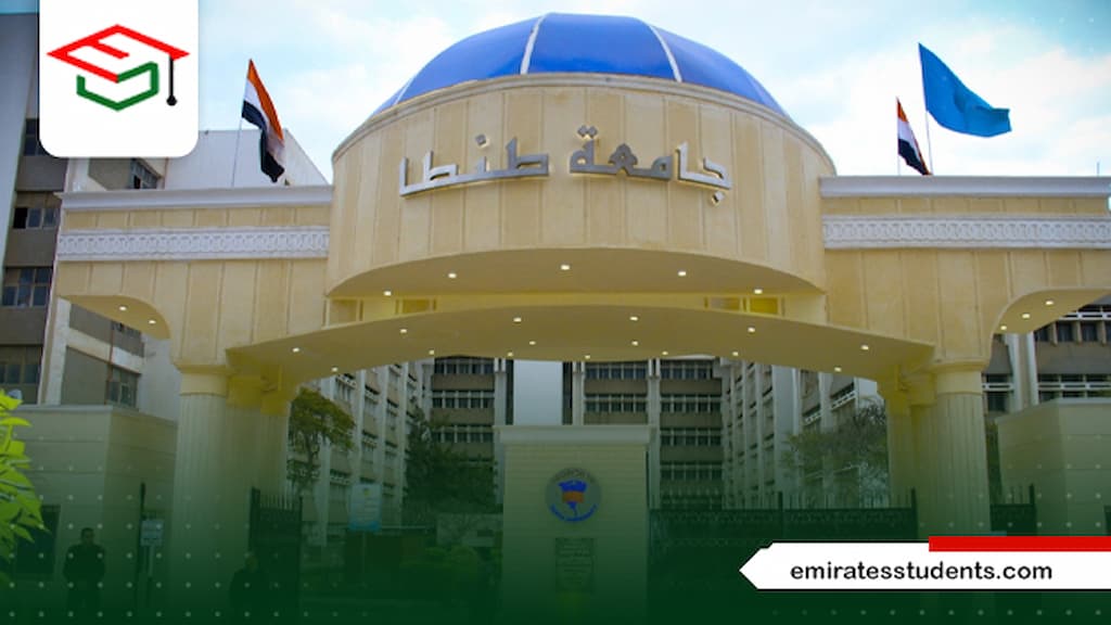 الدكتوراه المهنية جامعة طنطا