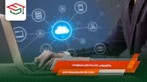 بكالوريوس هندسة نظم المعلومات