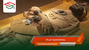 دراسة علم المصريات في مصر