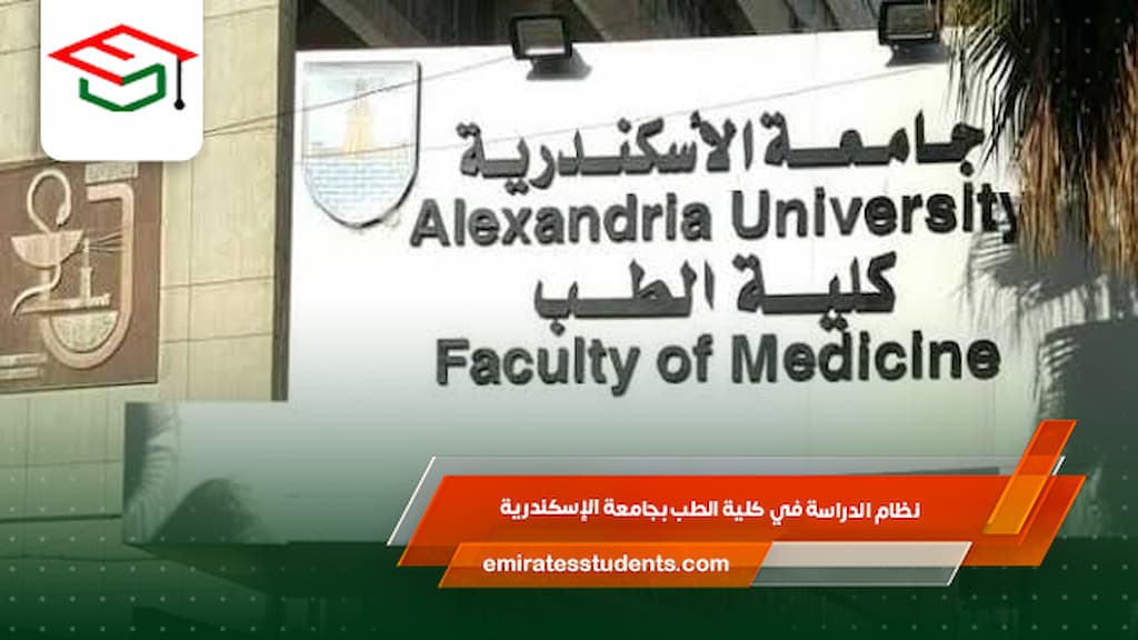 نظام الدراسة في كلية الطب بجامعة الإسكندرية