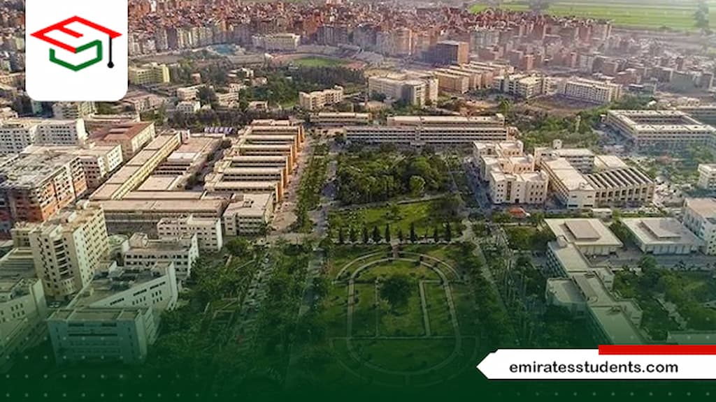 كلية التجارة جامعة المنصورة