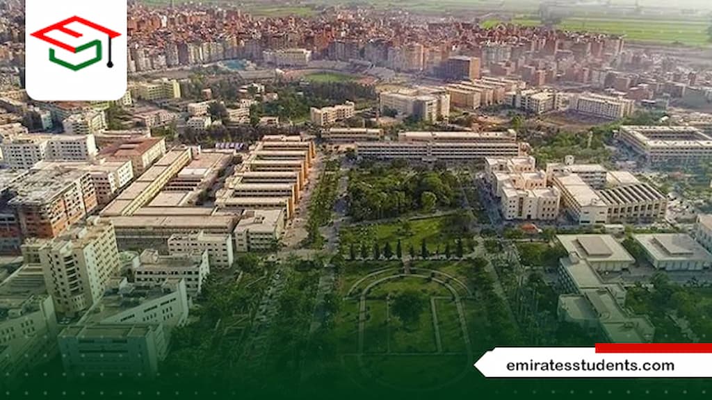 مصاريف صيدلة كلينيكال جامعة المنصورة الحكومية