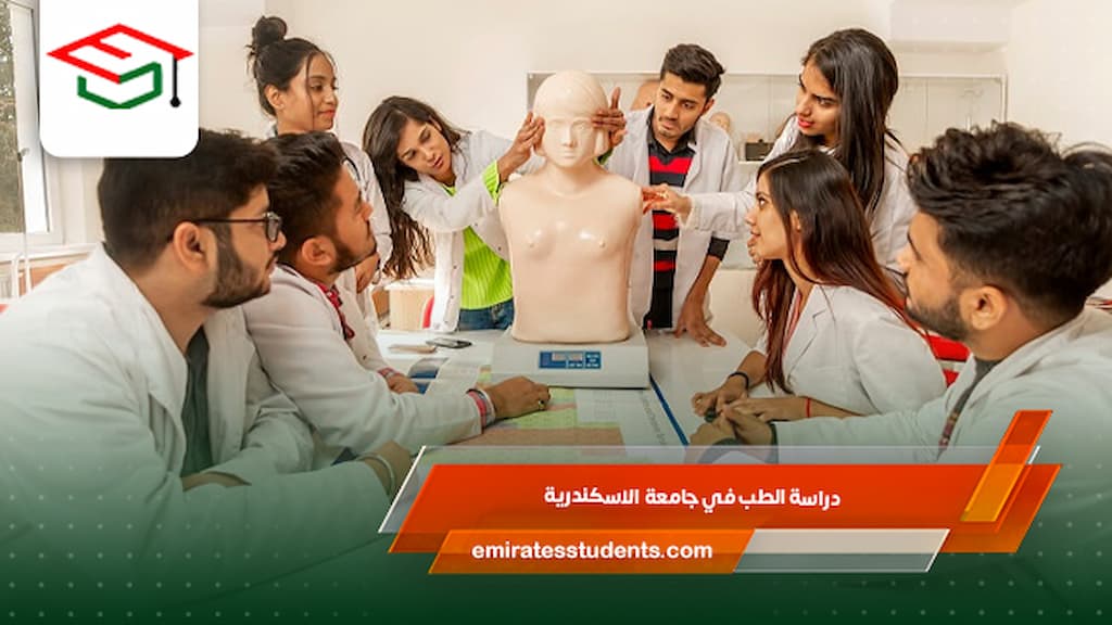  دراسة الطب في جامعة الاسكندرية