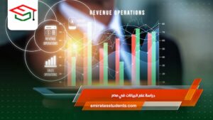 دراسة علم البيانات في مصر