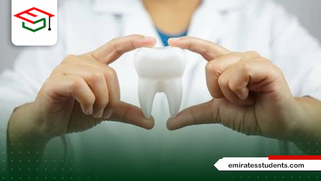 أفضل تخصص في طب الأسنان من حيث الراتب