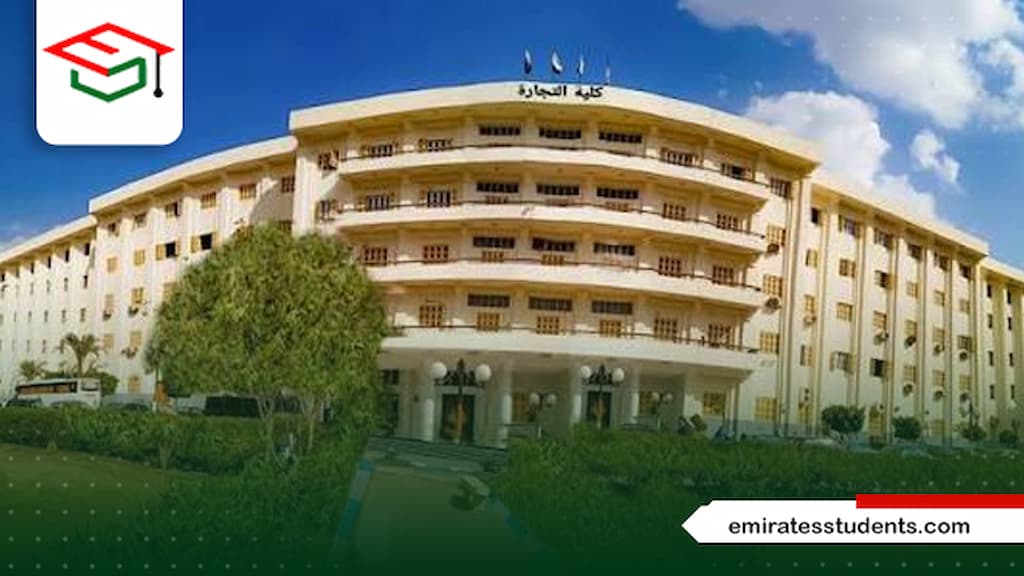 الدكتوراة المهنية جامعة بنى سويف