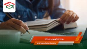 دراسة البكالوريوس في مصر