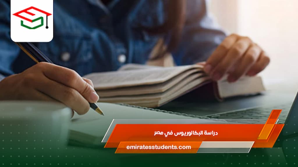 دراسة البكالوريوس في مصر
