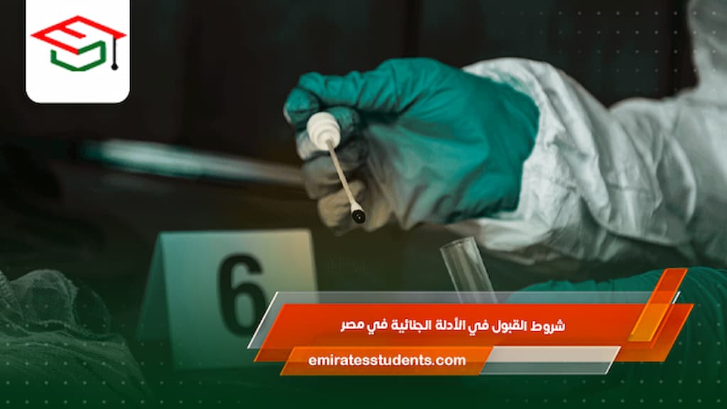 شروط القبول في الأدلة الجنائية في مصر